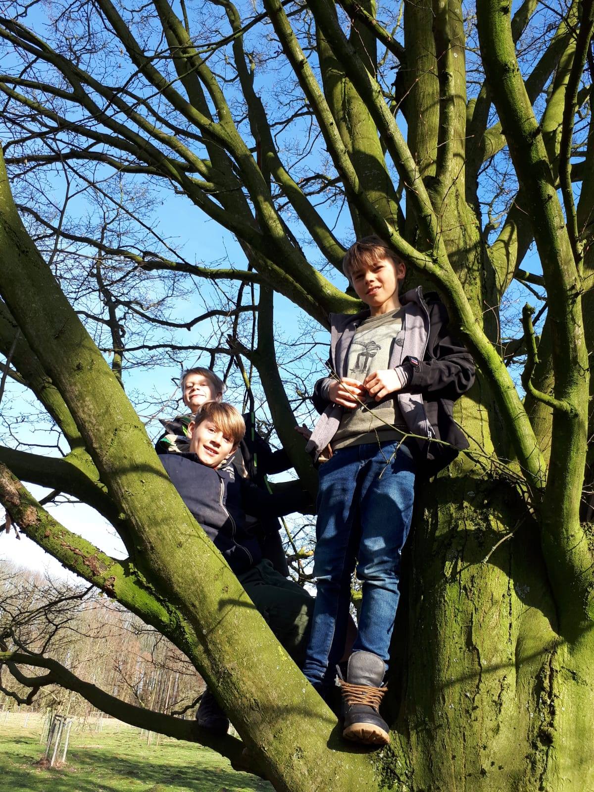 Sint-Martinus den XIIde - Ladderspel WK